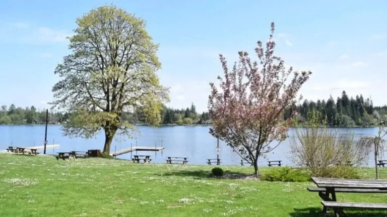 Cherry blossoms and lakeside benches at Columbus Park, as featured on its live website